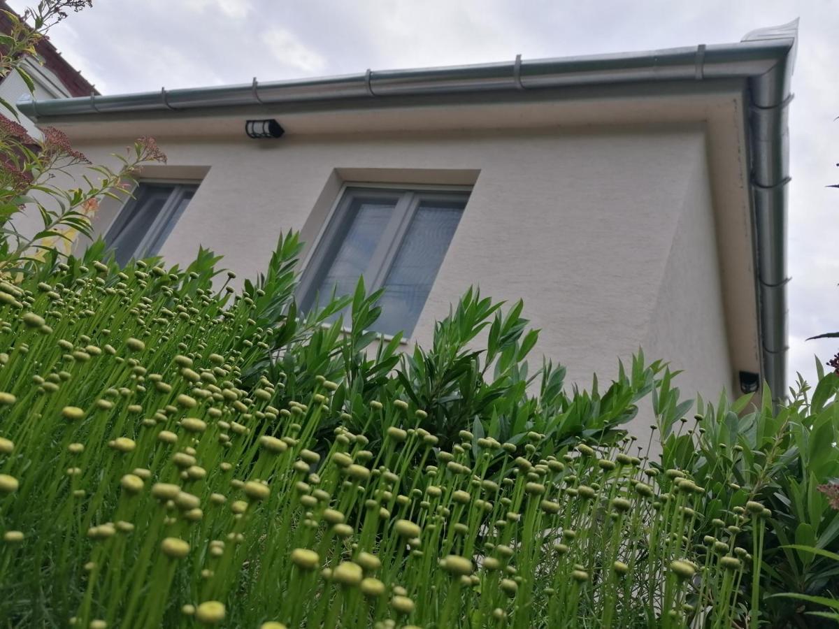 Levelke Mini Apartman Gárdony Екстериор снимка